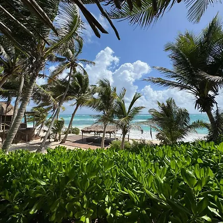 Art Village Tulum-2